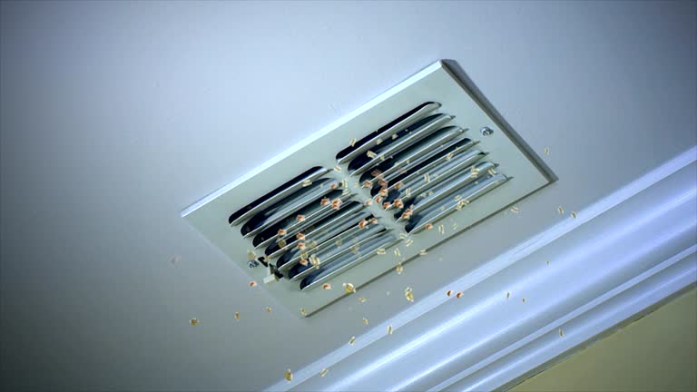 Best Local Air Duct Cleaning Services  in Factoryville, PA